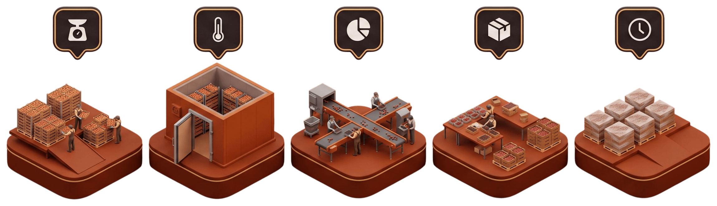 Infographic: Packhouse.farm guides the packhouse process from the receiving dock, through cold storage, sorting and packing, to the loading dock
